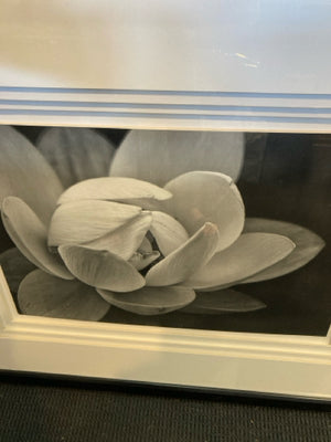 Print Black/White Flower Framed Art