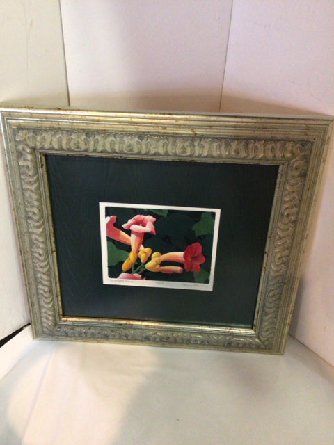 Signed Print Green/multi Framed Art