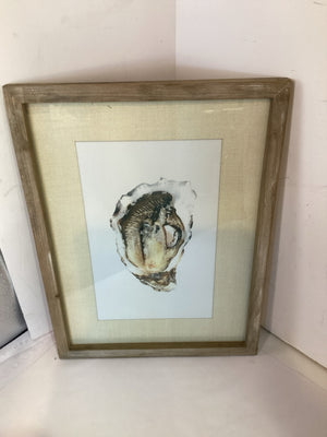 White/Gray Oyster Shell Framed Art