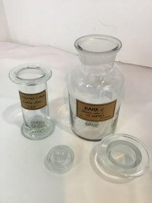 Two's Company Apothocary Clear Glass Pair Bottle Set