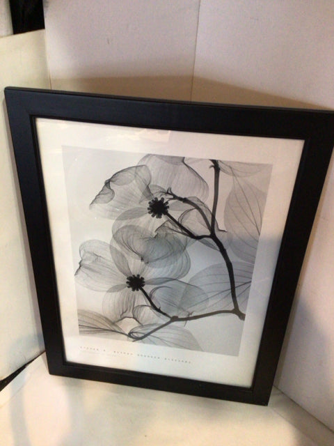 Cream/Multi Dogwood Framed Art