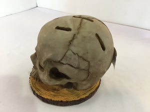 Halloween Gray Resin Skull Holiday Item