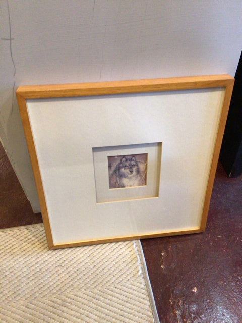 White/Gray Wolf Framed Art