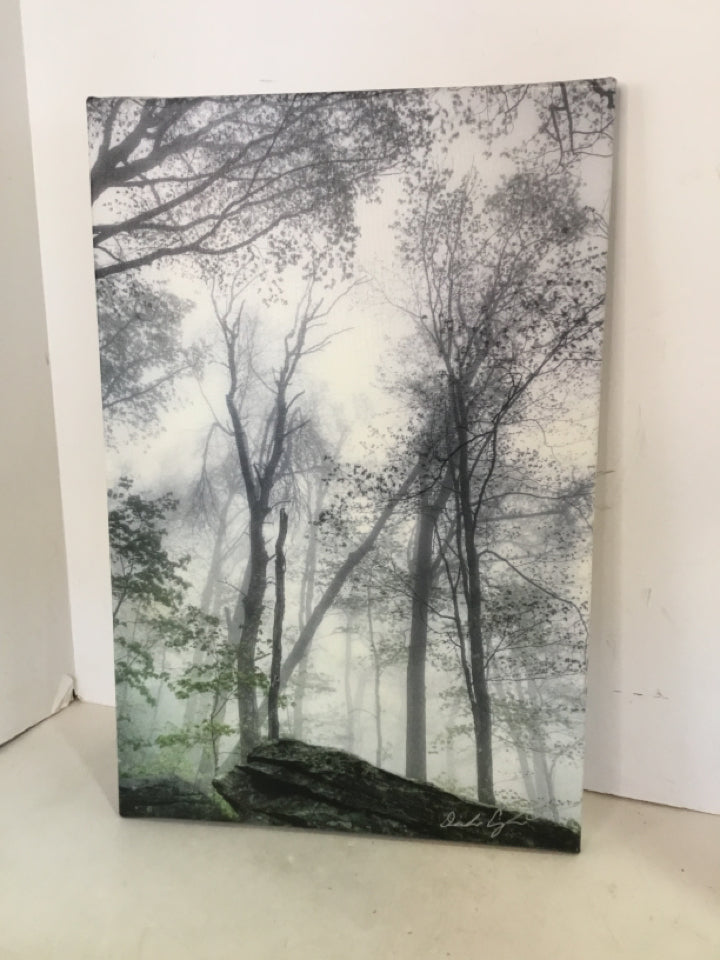 Signed Prints Green/Black/White/Brown Trees Stretched canvas