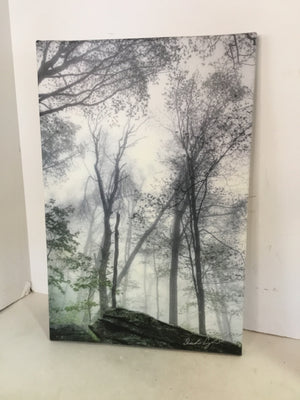 Signed Prints Green/Black/White/Brown Trees Stretched canvas