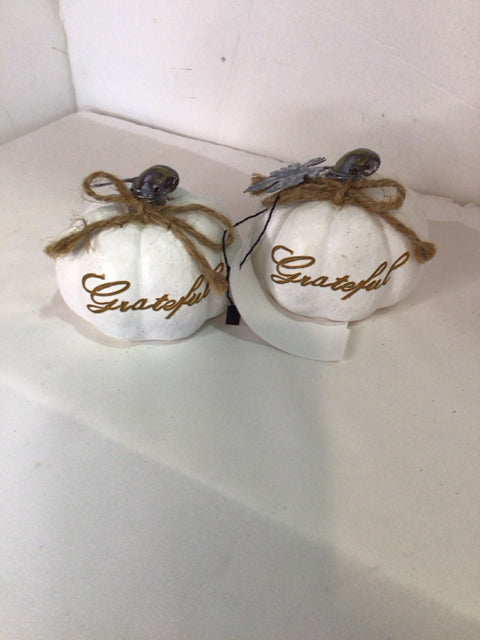 Fall White Resin Pumpkin Pair Holiday Item