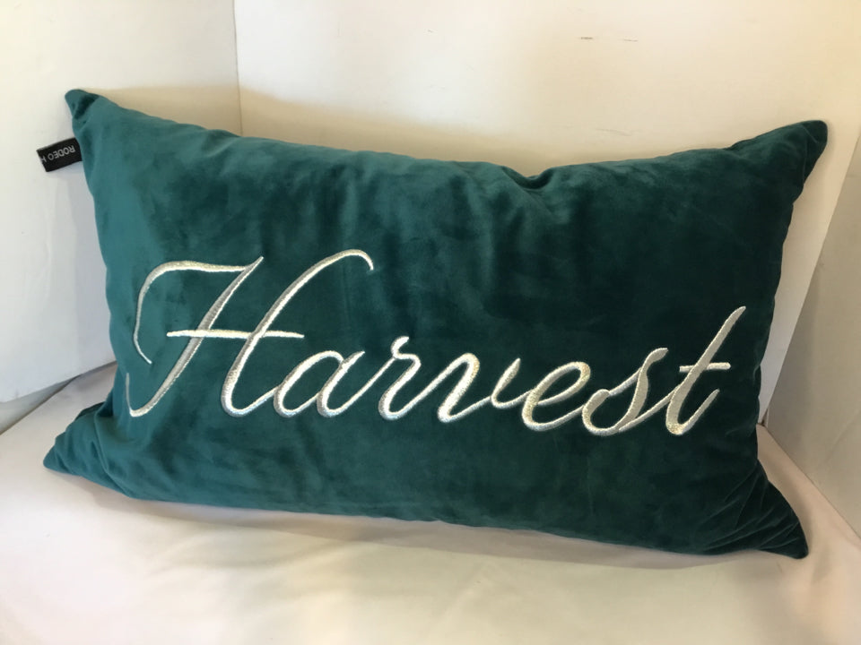 Rodeo Home Teal Velvet Embroidered Pillow