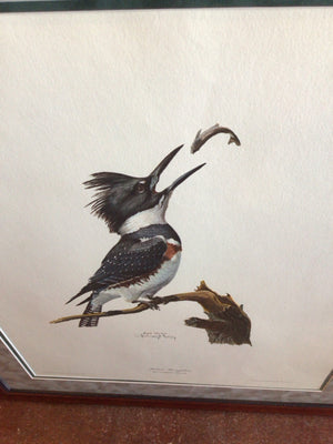 Ray Harm White/Gray Bird Framed Art