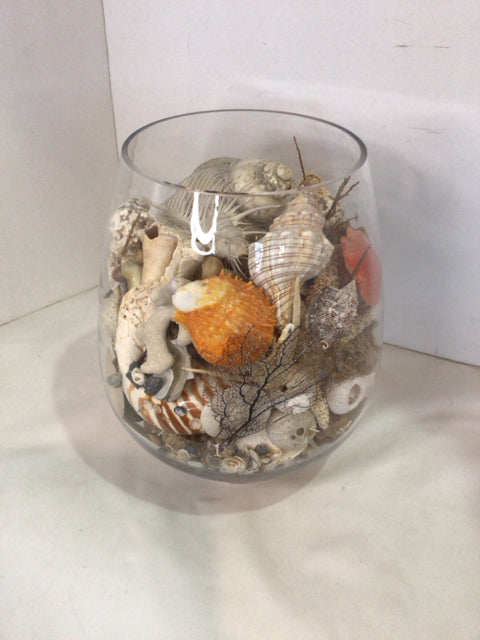 Multi-Color Shells Terrarium