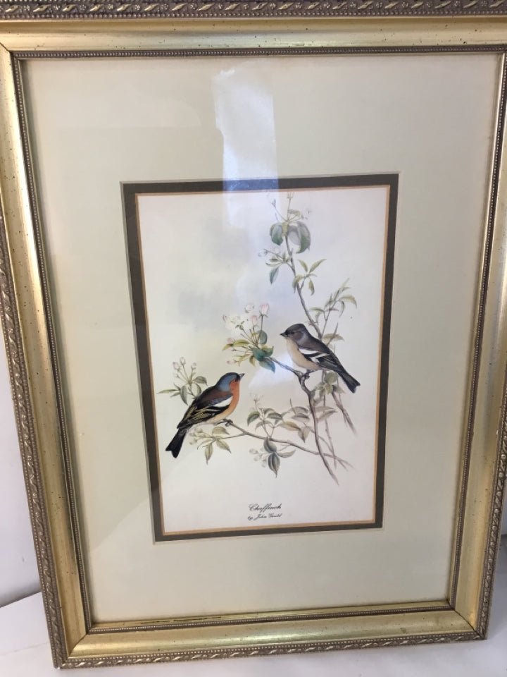 Botanical Cream Birds Framed Art