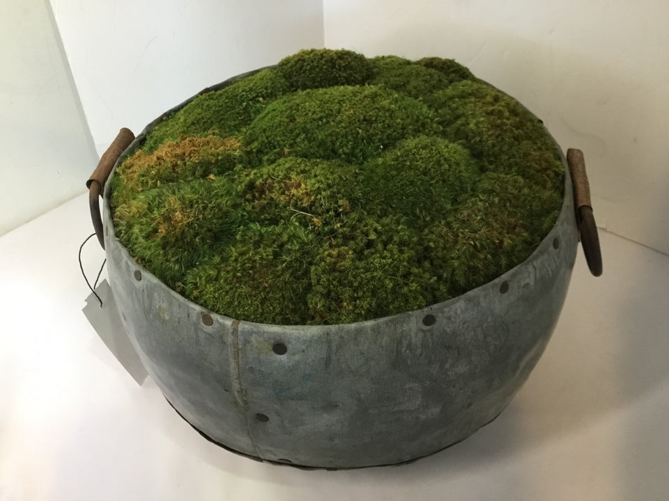 Centerpiece Gray/Green Galvanized Steel Mossy Bowl