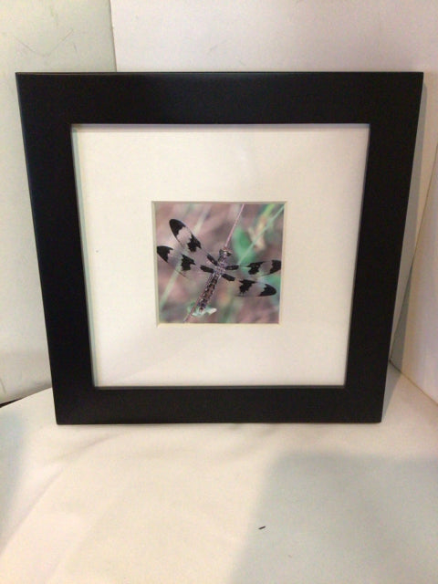 White/Multi Framed Art