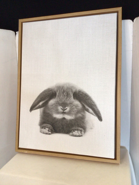 White/Gray Canvas Bunny Framed Art