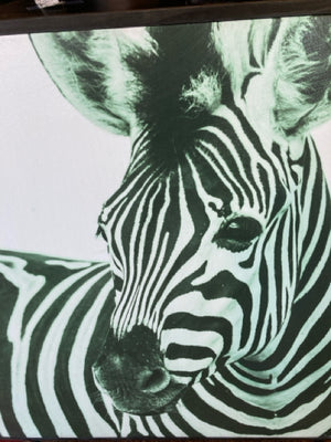 Black/White Canvas Zebra Framed Art