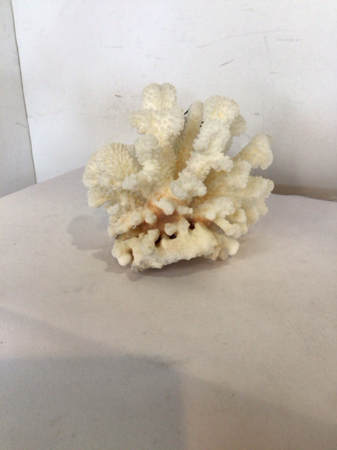 White Coral Sculpture
