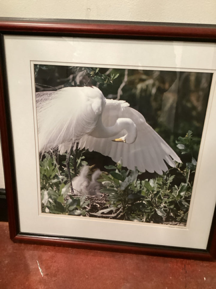 Signed Green/White Bird Framed Art