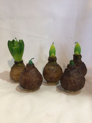 Set of 5 Brown/Green Wax Faux Plants Candle Set