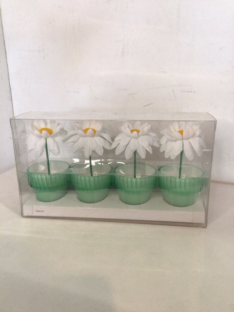 American Girl Green/White Flower Pot Misc