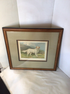 Traditional Green/Brown Dog Framed Art