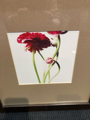 Brown/Red Rose Framed Art