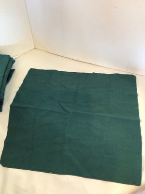 Set of 12 Green Napkins