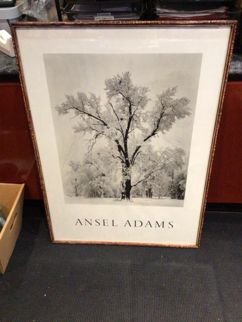 Vintage Black/White Winter Tree Framed Art