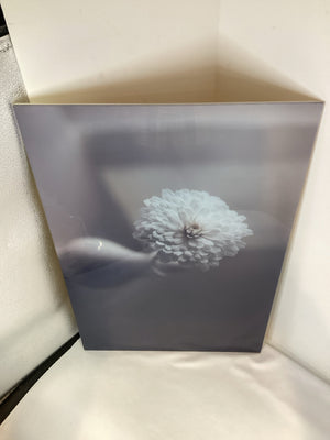 Acrylic Flower Photograph White Wall Decoration Art