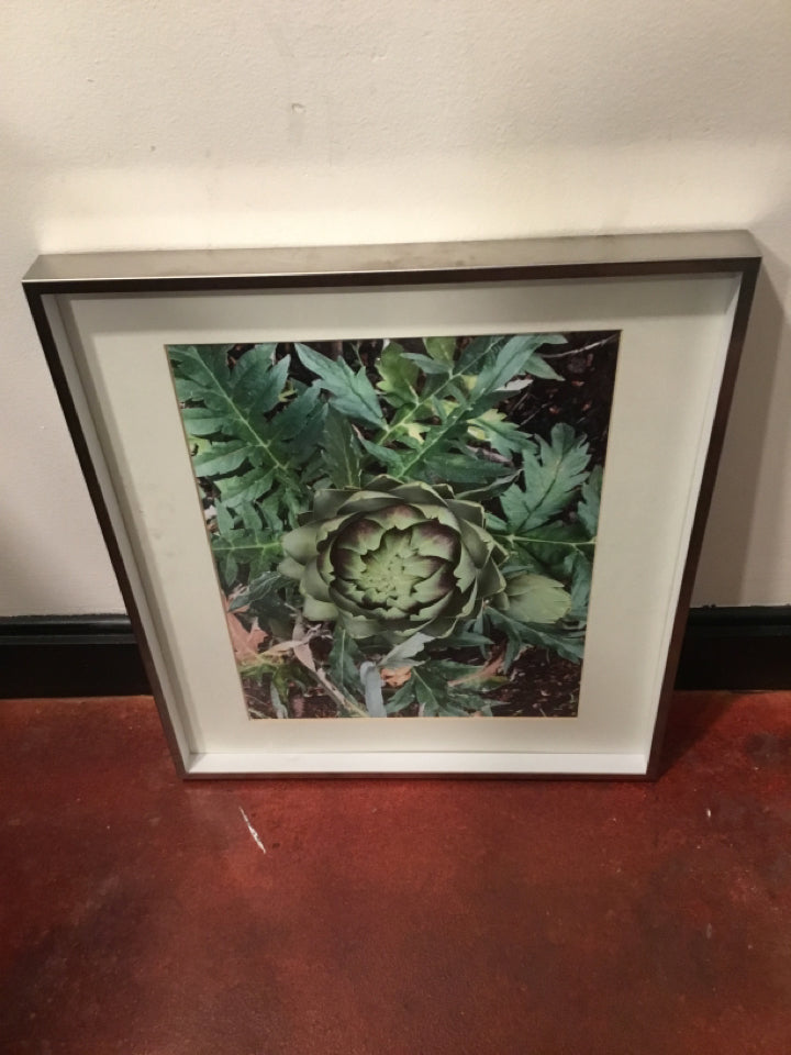 Crate & Barrel Green/White Artichoke Framed Art