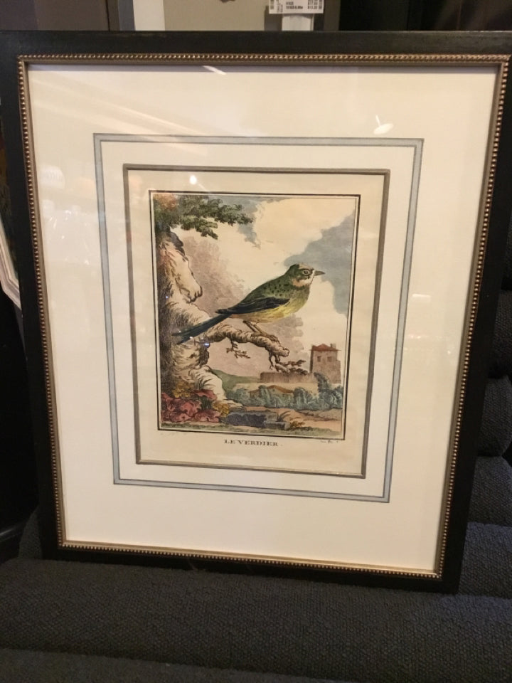 Vintage Multi-Color Bird Framed Art