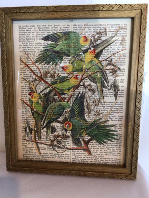 Bohemian Black/White Birds Framed Art