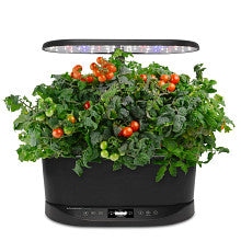 AeroGarden In Box Garden