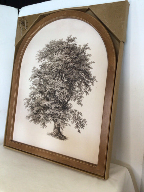 Black/White Tree Framed Art