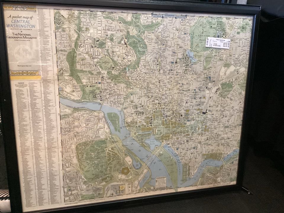 Vintage Green/Blue Map Framed Art