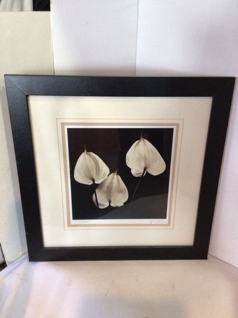 Signed White/Black Flowers Framed Art