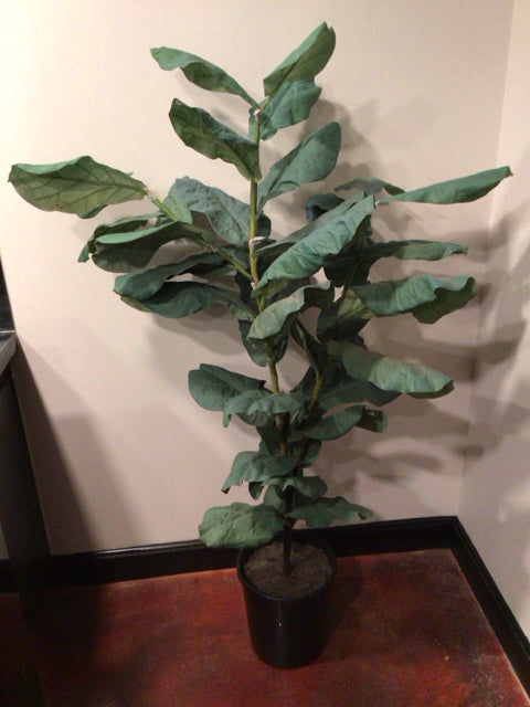 Green Plant