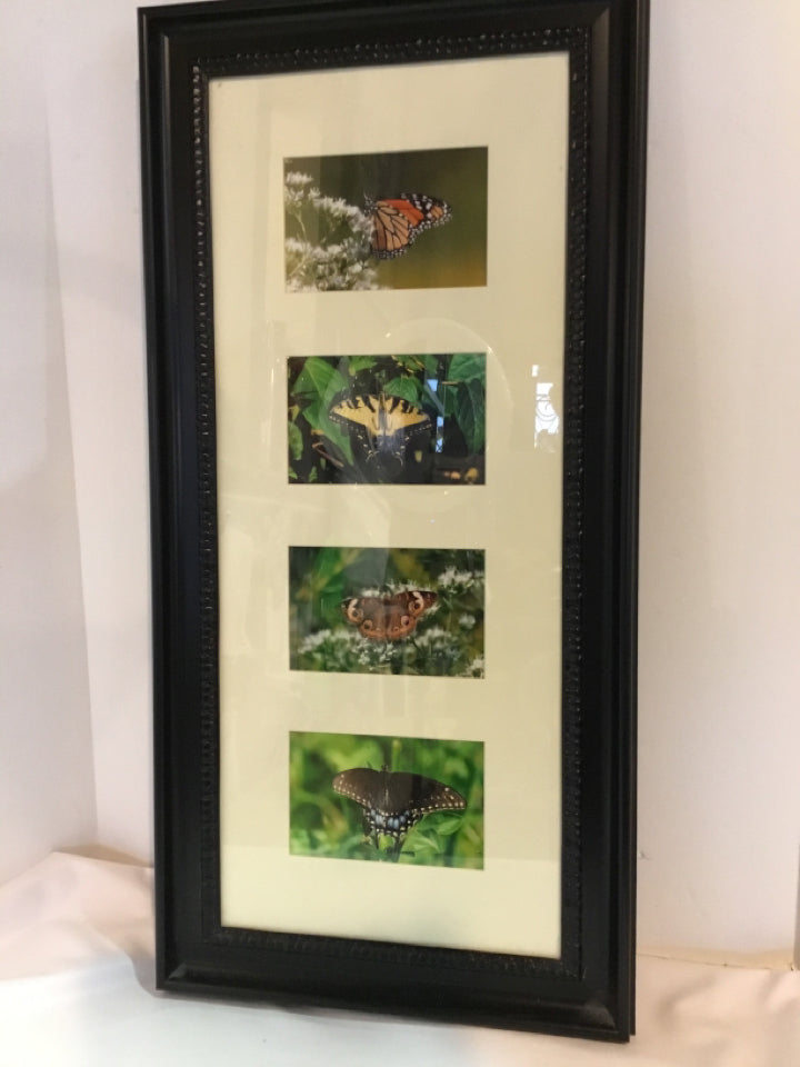 Multi-Color Butterflies Framed Art