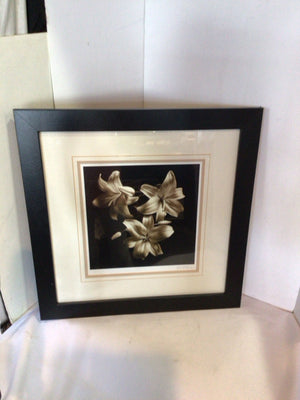 Signed White/Black Flowers Framed Art