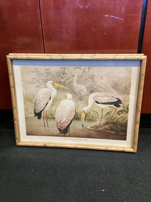 Vintage Cream Birds Framed Art