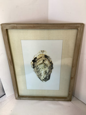 White/Gray Oyster Shell Framed Art