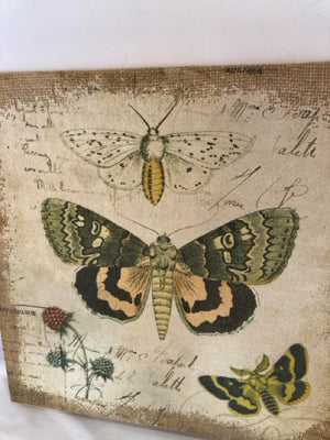 Burlap Butterflies White/Green Wall Decoration Art