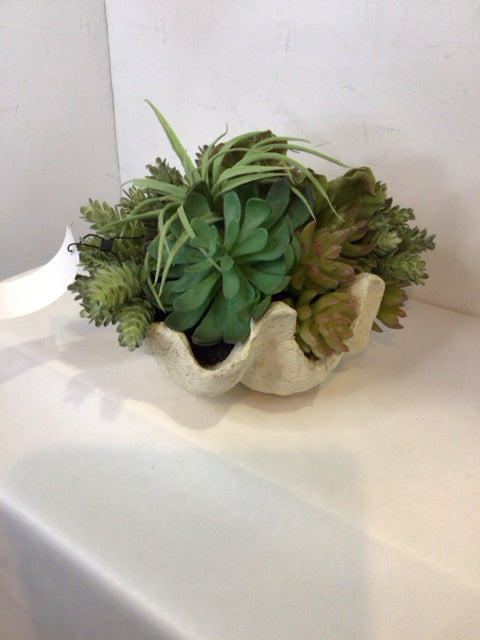 Green Succulent In Planter Faux Plant