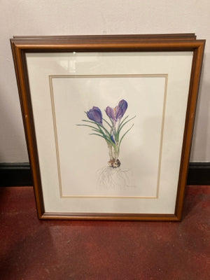 Botanical Purple/White Crocus Numbered Framed Art