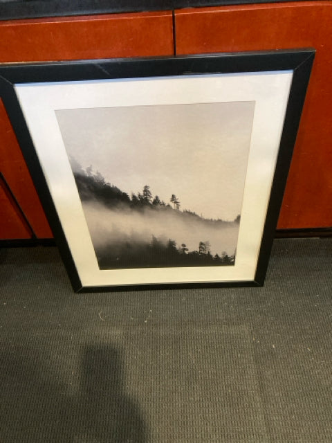 Black/White Forest Framed Art