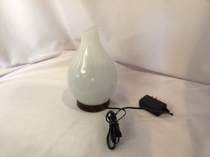 White Glass Diffuser