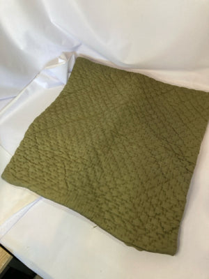 Pottery Barn Green Silk Pillow Cover