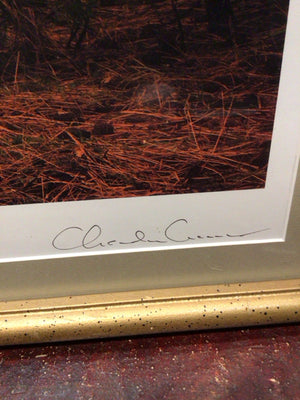 Signed Green/Brown Forest Framed Art