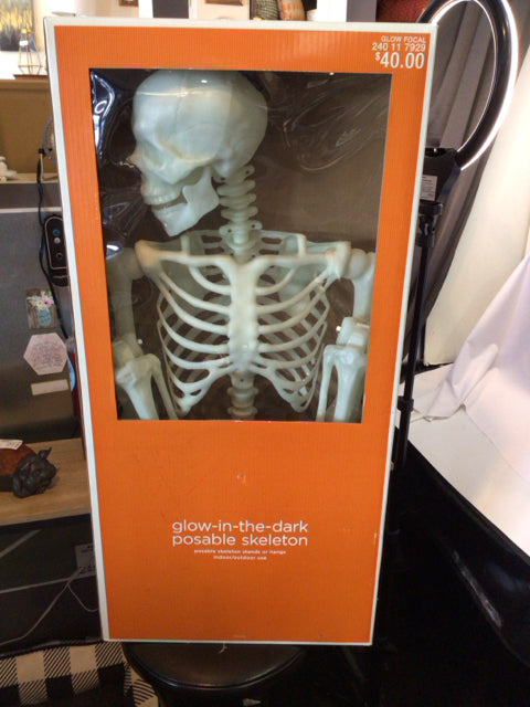 Halloween White Plastic Skeleton Misc