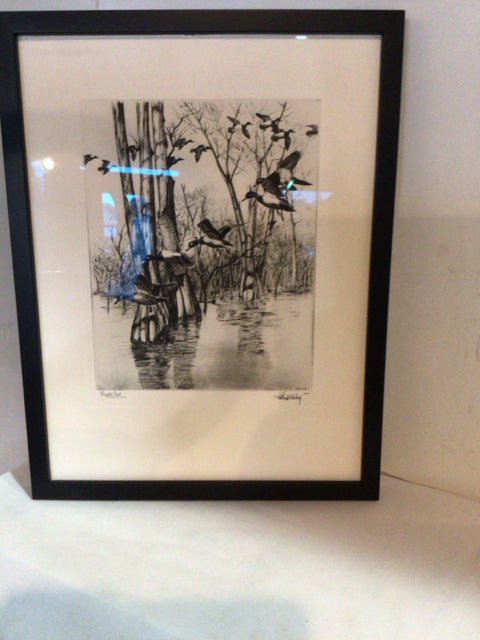 Signed Black/White Mallard Ducks Framed Art