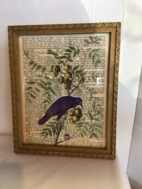 Bohemian Black/White Birds Framed Art