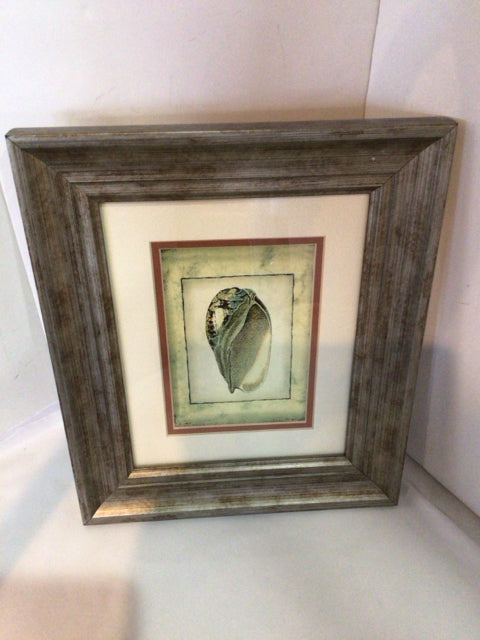 Gold/Black Shell Framed Art
